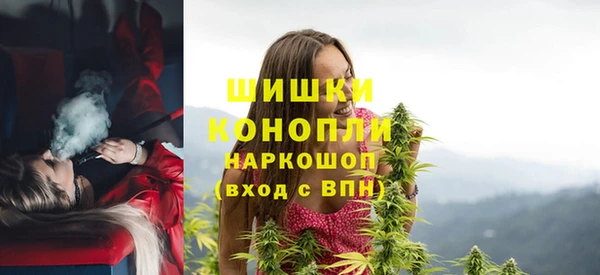 ПСИЛОЦИБИНОВЫЕ ГРИБЫ Навашино