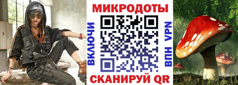 как найти наркотики  Поворино  Псилоцибиновые грибы MAGIC MUSHROOMS 